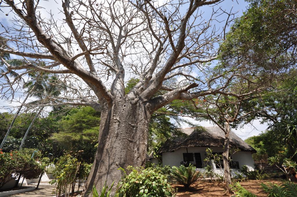Baobab Sea Lodge Kilifi Εξωτερικό φωτογραφία